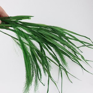 梦幻草喷泉草永生花diy花束婚礼花艺礼盒配草ins拍照道具室内造景