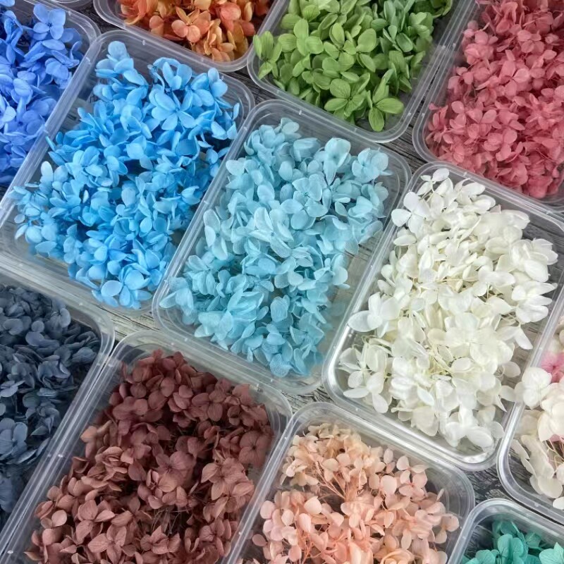 Diy暴力熊相框绣球永生花瓣diy