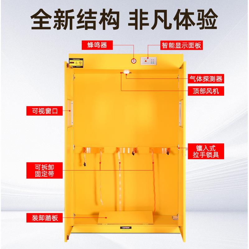 实验室智气瓶QPG-012双柜全钢带报警厂钢瓶乙炔氧气瓶安能全储存