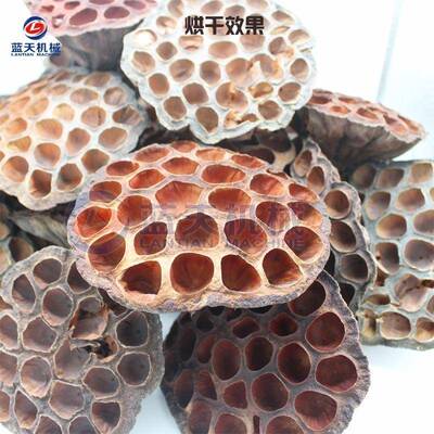 空气LT-LFJ干能莲房烘干机机 大型蓬壳老莲莲子壳燥 全智能莲蓬烘