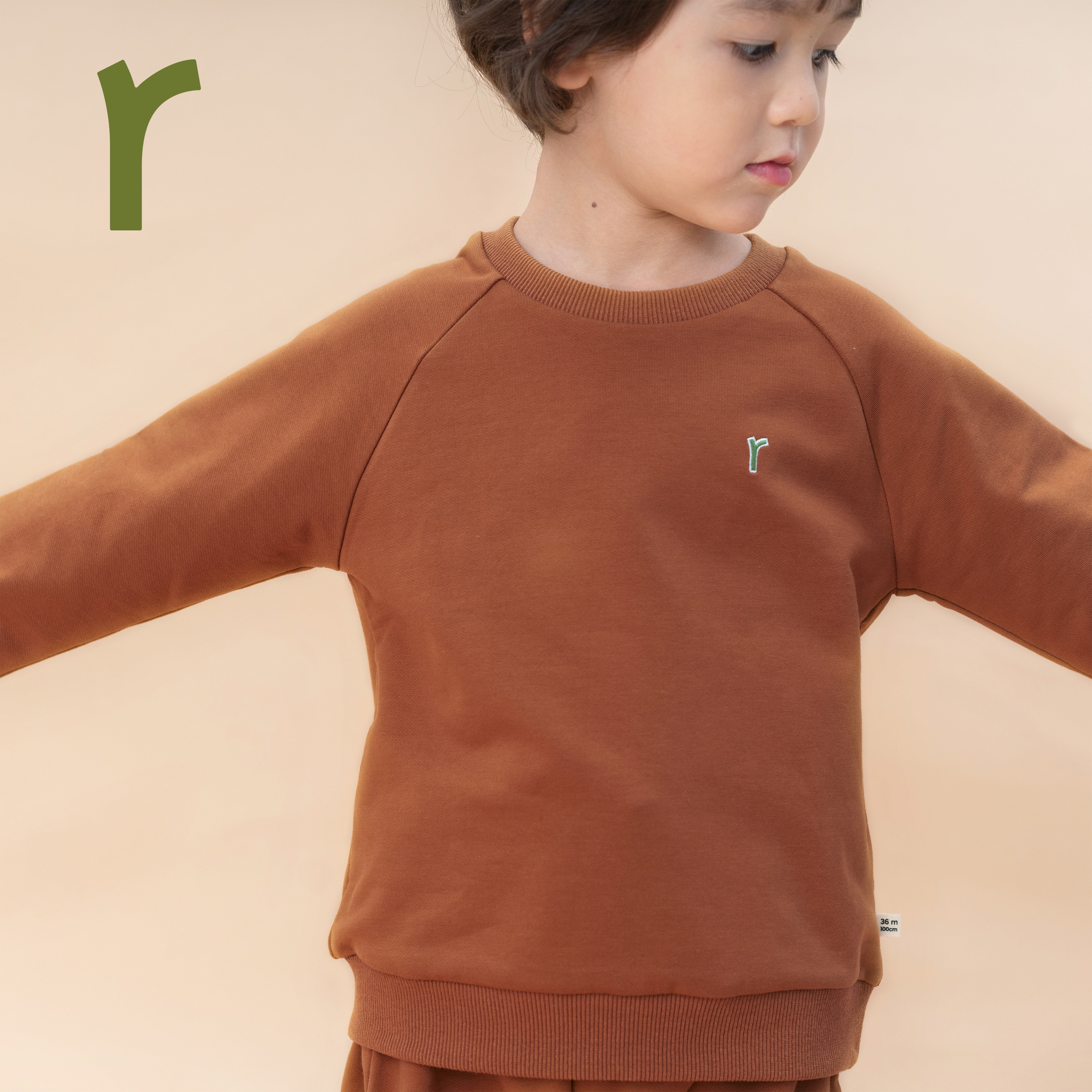 有机棉儿童卫衣ArborTree春秋