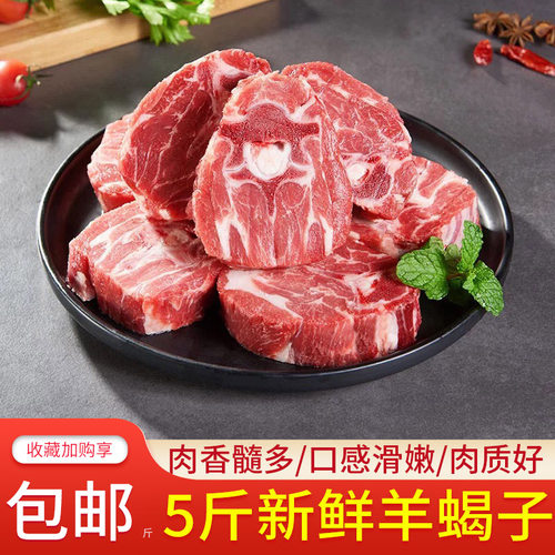 5斤新鲜多肉羊蝎子生鲜羊肉火锅