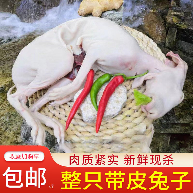新鲜兔子肉农家白条带皮去内脏整只兔子带头速冻生鲜商用批发