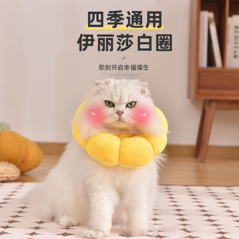 伊丽莎白圈【轻便不影响吃饭】