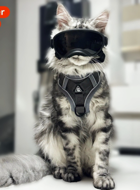 猫咪牵引绳遛猫背心式可调节背带缅因猫防挣脱不勒脖小猫外出胸背