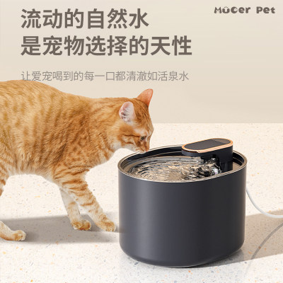 猫咪饮水机智能双滤深度净化