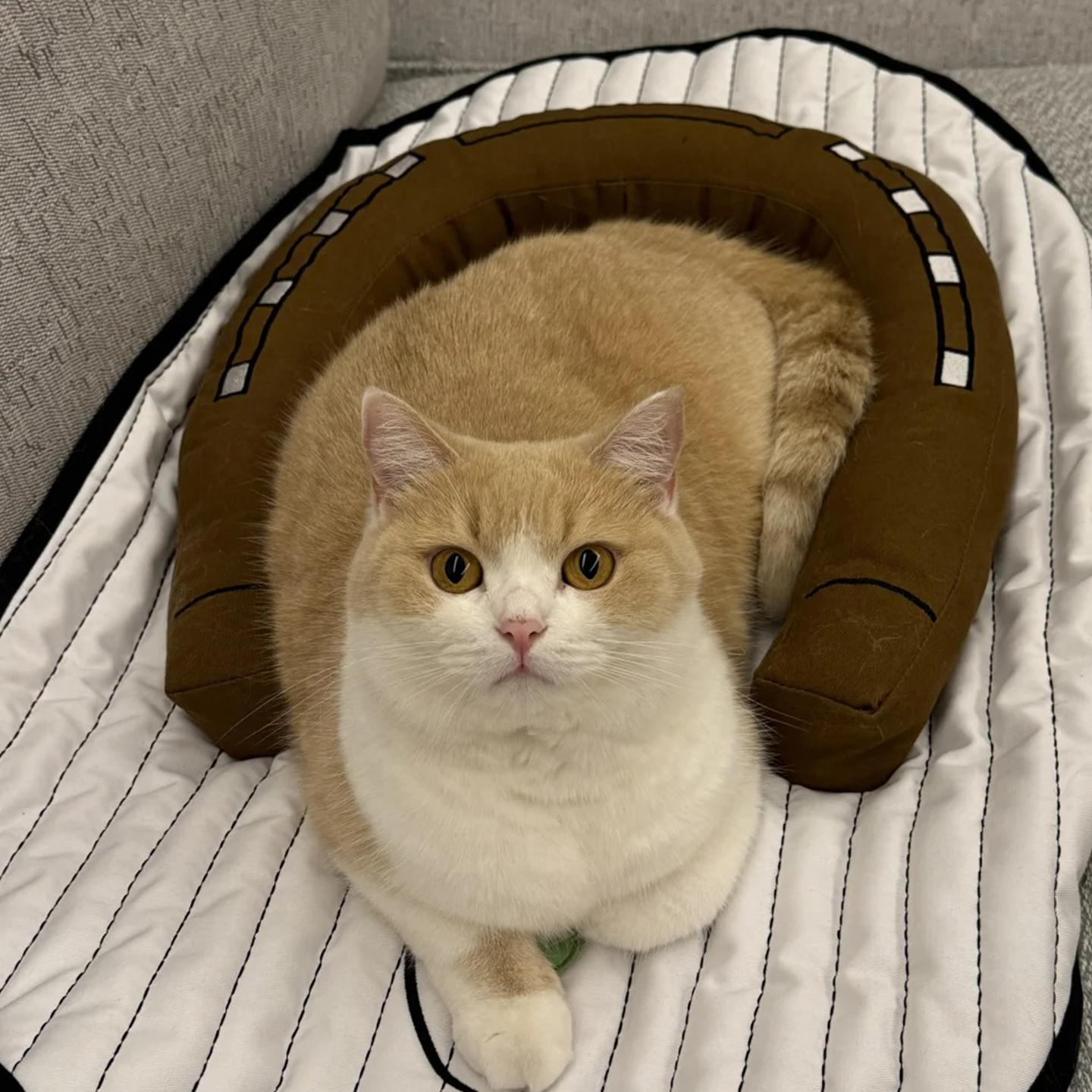 猫垫子宠物婴儿趴趴垫猫咪凉席凉垫夏天夏季睡垫猫窝冰凉垫防撕咬