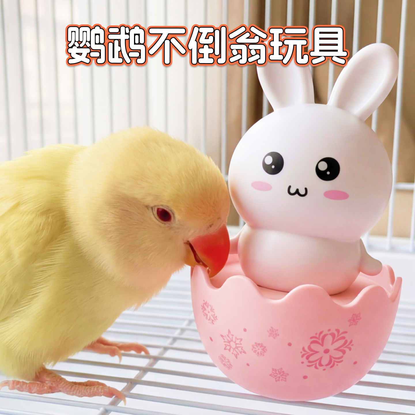鹦鹉玩具小鸟解闷自嗨不倒翁啃咬益智磨牙玄风牡丹和尚用品大全,宠物/宠物食品及用品,鸟玩具,淘宝优惠券,粉丝福利购,淘宝优惠卷