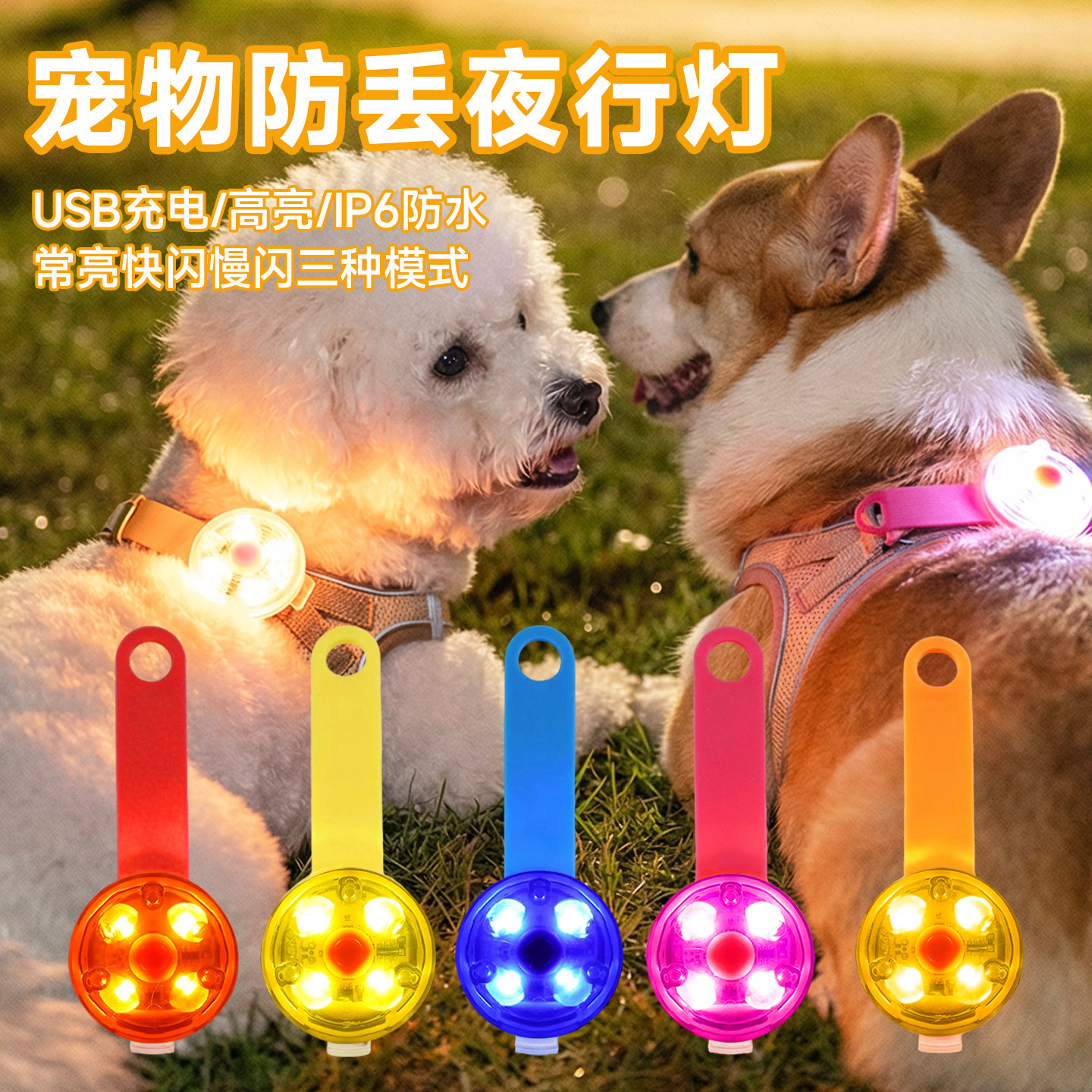 狗狗夜行灯夜间出行防丢充电防水防走失灯发光项圈宠物夜光遛狗灯
