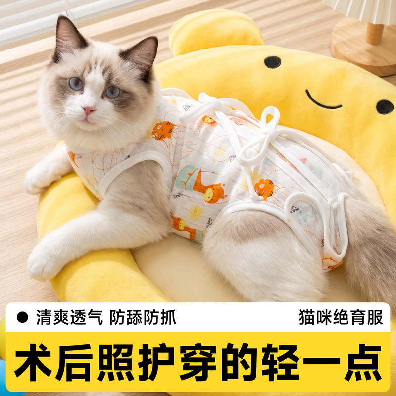 猫咪绝育服母猫手术服轻薄透气