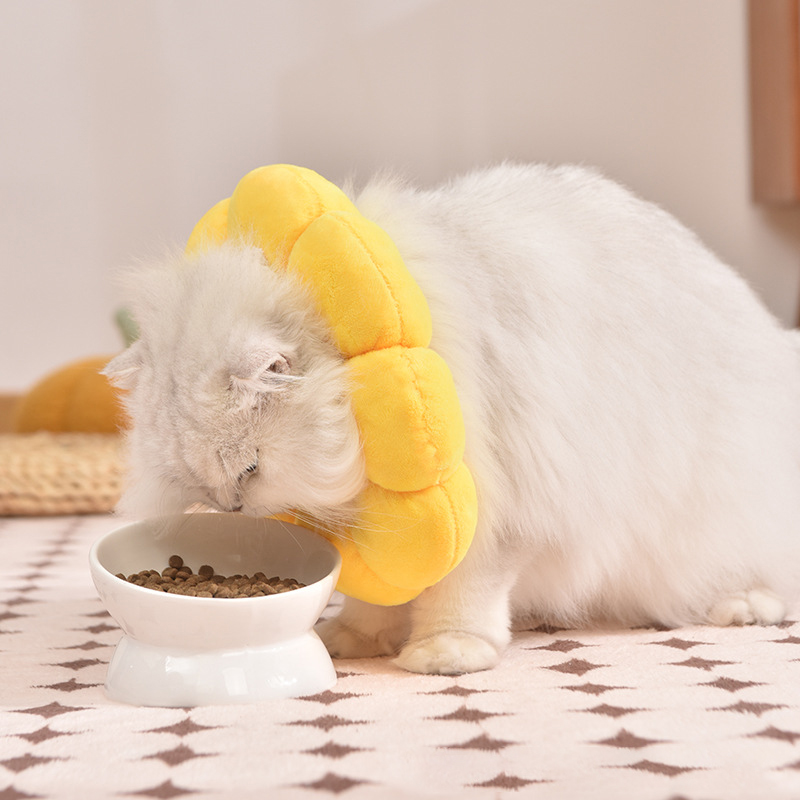 【活动自如，轻便亲肤伊丽莎白圈