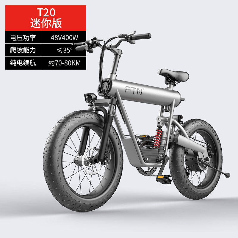 ftn电动自行车锂电池电瓶车20英寸沙滩越野雪地车7档变速助力车迷
