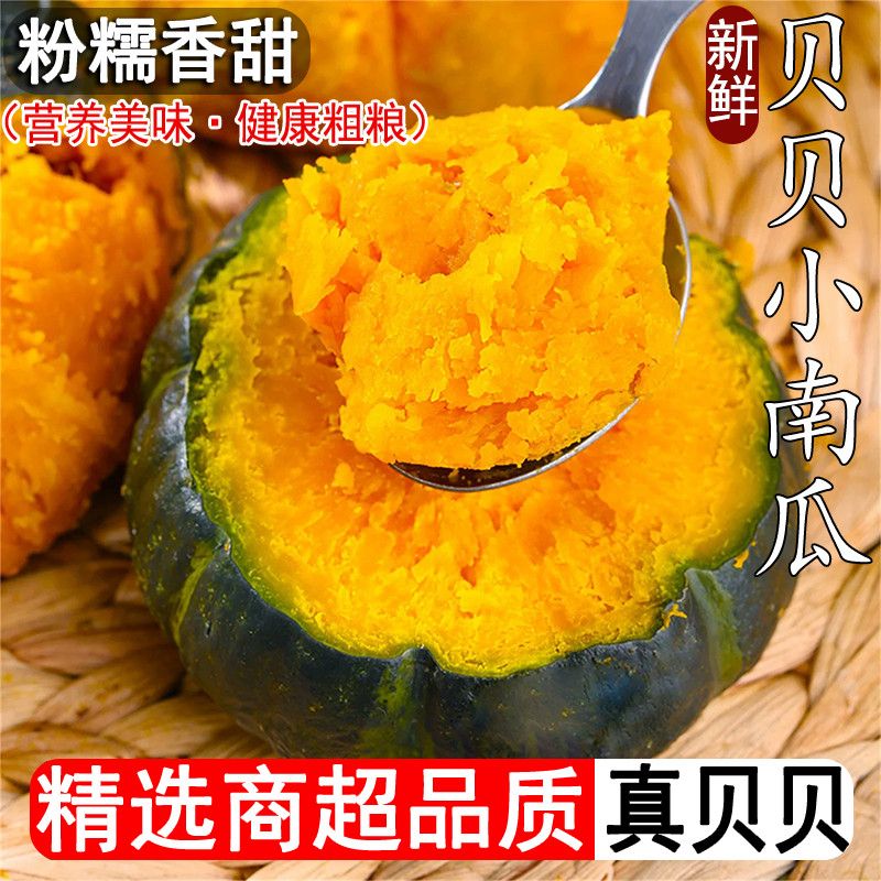 贝贝南瓜正宗山东新鲜五斤十斤净重板栗味小南瓜婴儿孕妇粉糯老瓜