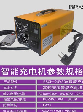 中力EP电动搬运堆高叉车YNB系列ESCH-24V30A充电机高频充电器