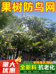 防鸟网果园大棚果树葡萄樱桃防飞鸟鱼塘天网防护网防雹网养殖网罩