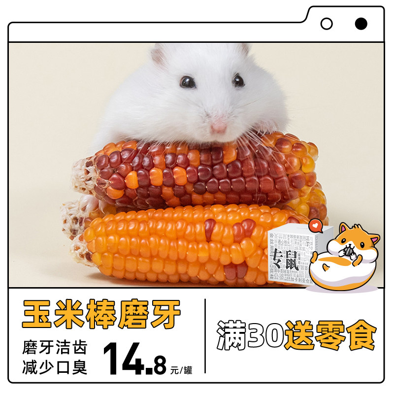 专鼠仓鼠磨牙玉米棒造景金丝熊豚鼠龙猫用品组合零食苹果枝玩具,宠物/宠物食品及用品,鼠粮,淘宝优惠券,粉丝福利购,淘宝优惠卷