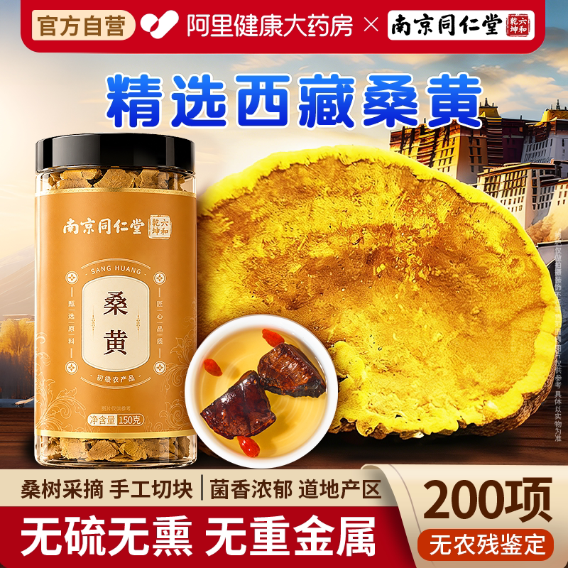 同仁堂西藏正宗桑树桑黄共600克图片