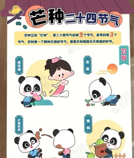幼儿园环创区域二十四节气芒种展板及教案芒种的由来PPT电子素材