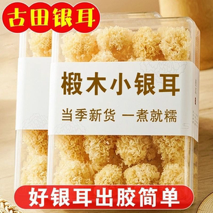 净重无托盘 新椴木小银耳新鲜干货古田无熏硫小朵白木耳糯雪耳