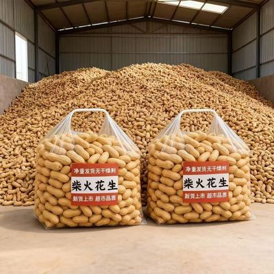 农家柴火铁锅现炒脆花生客家特产熟花生香酥炒货炒花生带壳原味