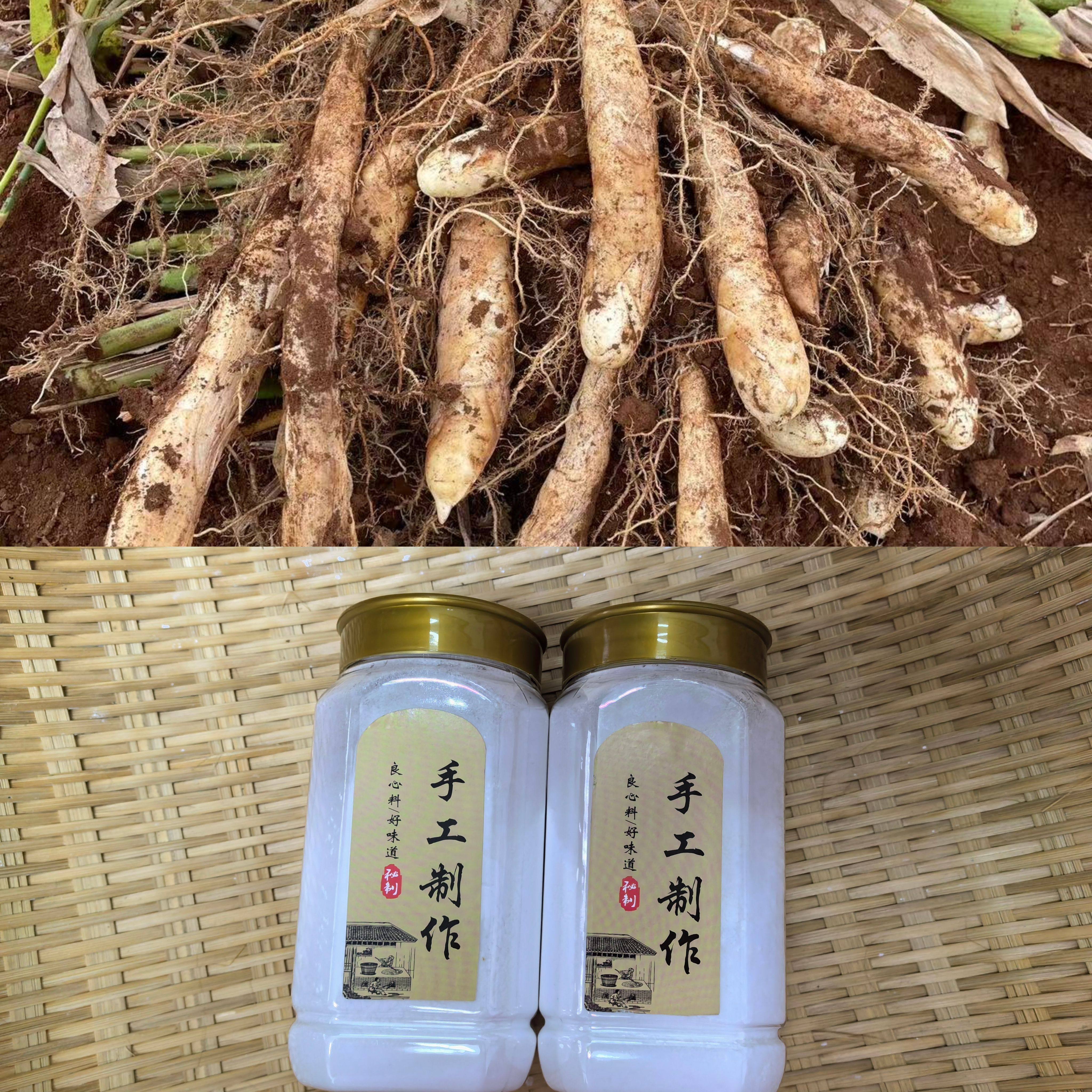 2026年新粉 新鲜南椰粉 冬粉薯 竹薯粉 海南自家种植 罐子装 包邮