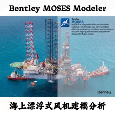 Bentley Moses modeler海上漂浮式风机建模软件远程安装免加密锁