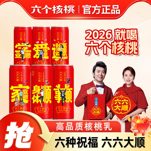 六个核桃六六大顺礼盒240ml*16罐