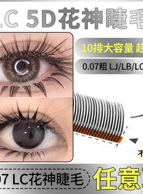 新款L型5D花神LJ漫画款LC狐系多取不散根网红仙子美睫店专用中式