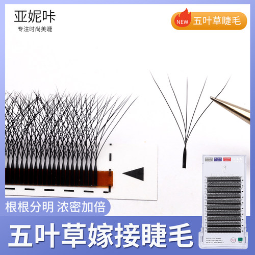 五叶草嫁接睫毛5D开花快速嫁接