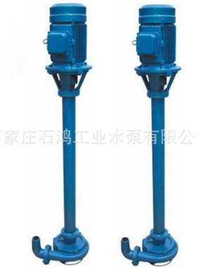 高品质立式污泥泵 NL76A-9 无堵塞泥浆泵 型号齐全 石鸿生产