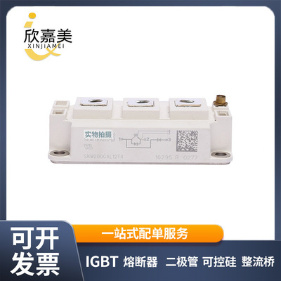 SKM200GAL12T4 SKM200GAL123D SKM200GAL125D 全新功率 IGBT模块