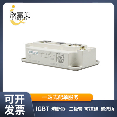 SKM300GAR12E4  SKM300GAR123D SKM300GB12E4晶体管功率IGBT模块