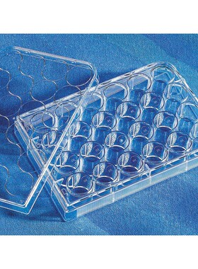 Corning康宁3402实验室耗材Transwell细胞小室 直径12mm 孔径3.0u