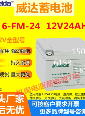 Weida威达蓄电池6-FM-24 12V24AH医疗系统通讯UPS/EPS免维护消防