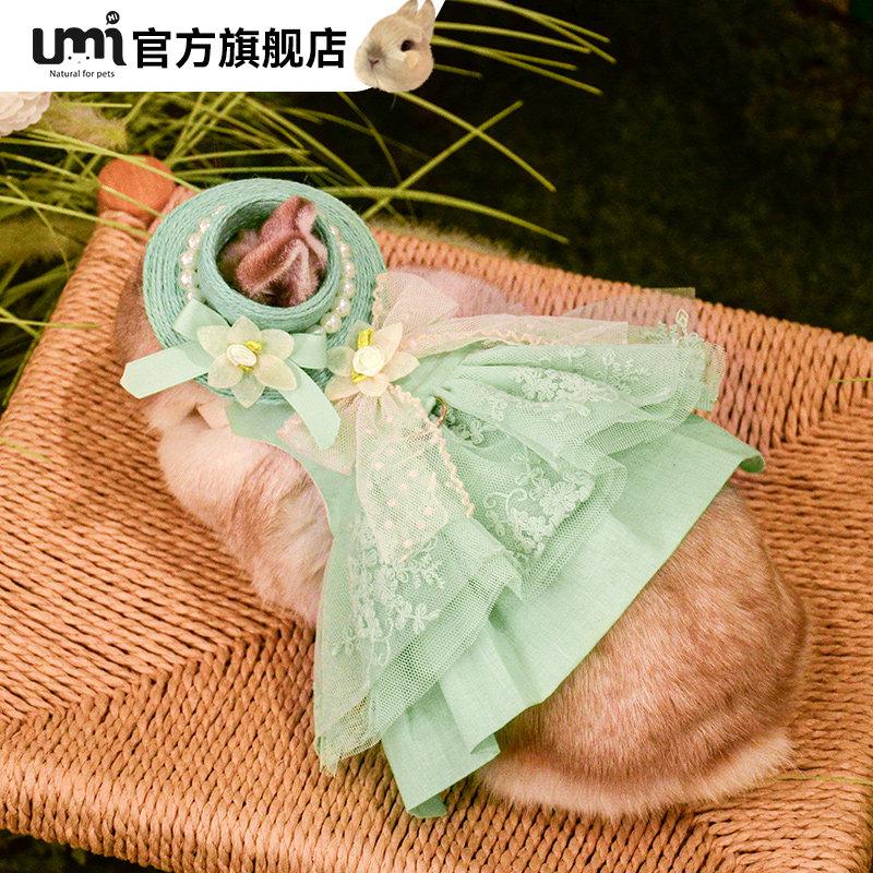 兔兔春天出游绿野仙踪公主裙子垂耳兔侏儒兔帽子牵引绳可爱服饰