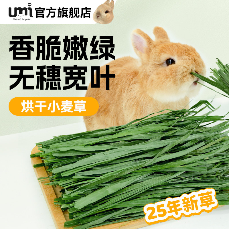 烘干小麦草粗纤维磨牙兔子龙猫牧草荷兰猪饲料兔子草料净重500g
