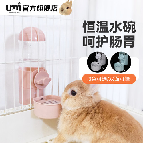 兔子恒温水壶饮水机冬季加热