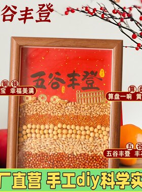创意手工diy乔迁摆件五谷丰登装饰新居摆台礼物搬家仪式布置用P16