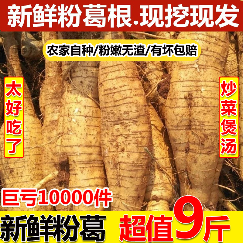 9斤包邮食用葛根新鲜广西粉葛无渣现挖大山野葛薯广东煲汤粉葛根