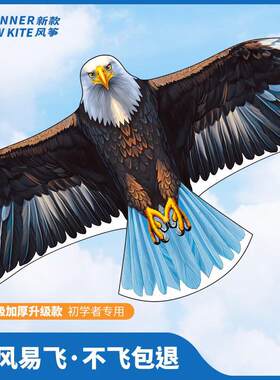 老鹰风筝微风易飞2026年新款大成人专用网红儿童大型高档潍坊凤争