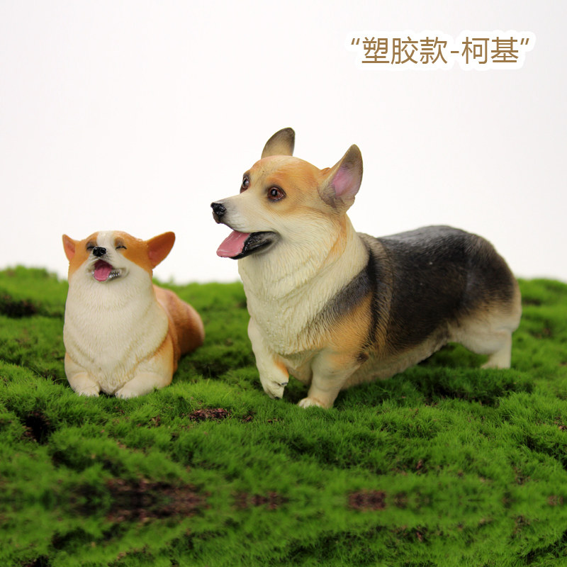 仿真柯基犬模型可爱宠物小狗塑胶装饰品动物玩具摆件儿童科教认知