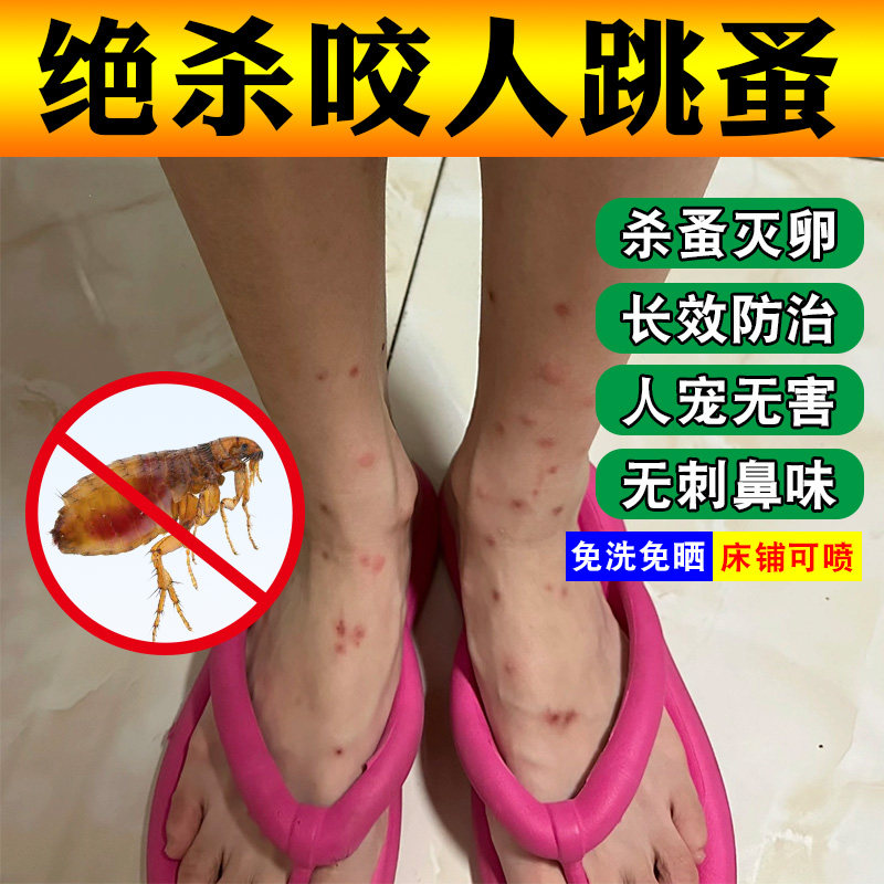 呋虫胺跳蚤杀虫剂家用特跳蚤灭虫卵效非无毒药床上除虱子跳瘙药pt