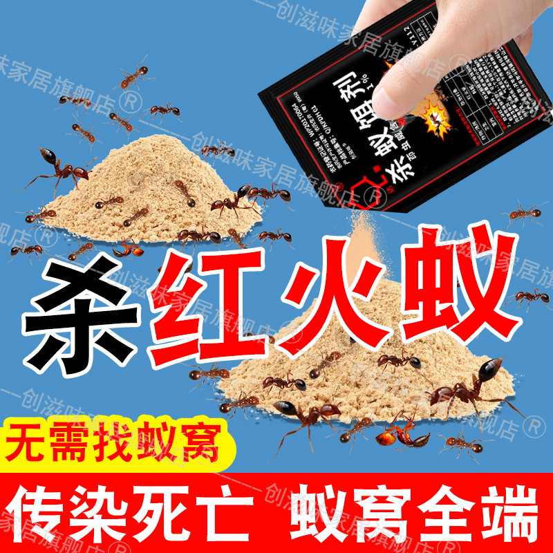 蚂蚁pt_蚂蚁拼音精确
的拼读