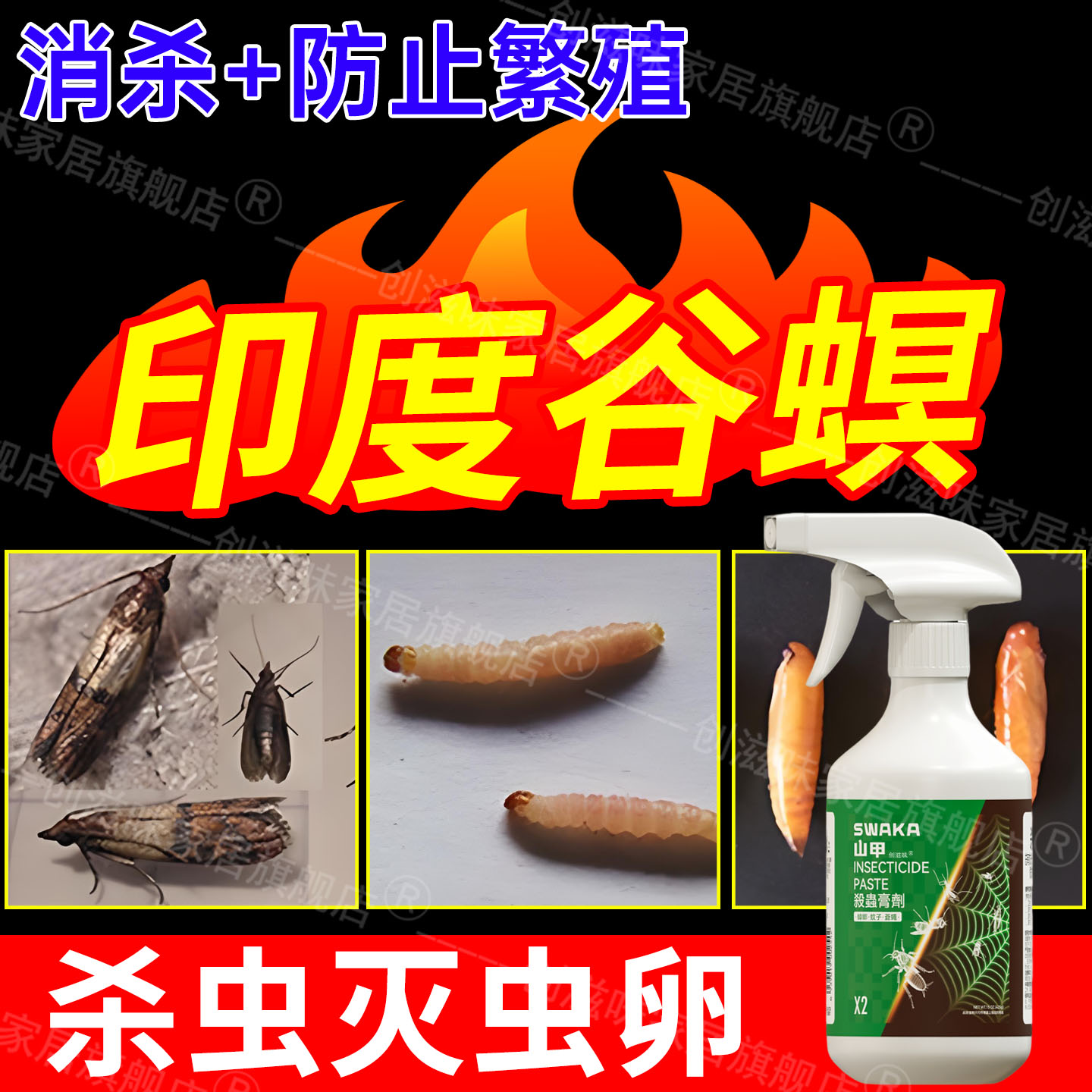 印度谷螟杀虫剂灭飞蛾螟蛾幼虫卵