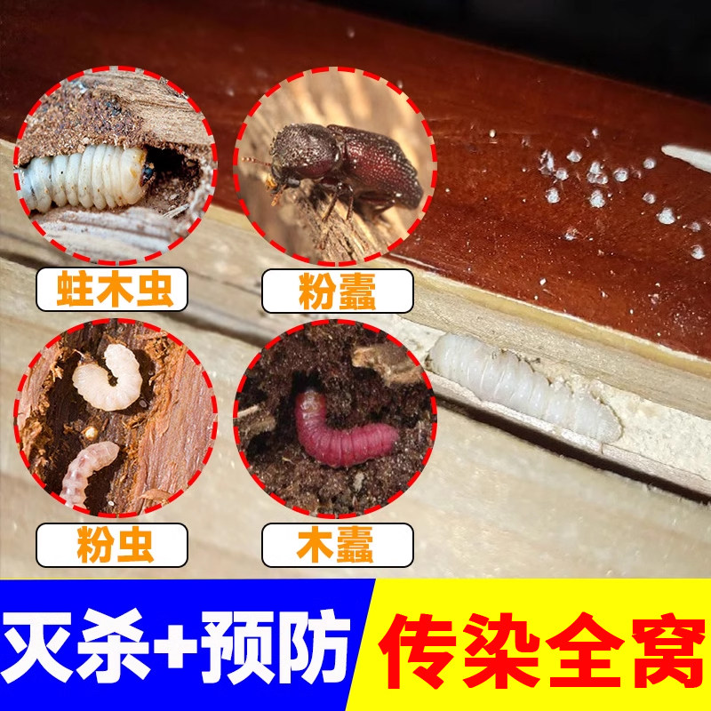 家具杀蛀木虫药木头门框实木地板杀虫剂杀木蠹潮虫白蚁防粉蠹xf