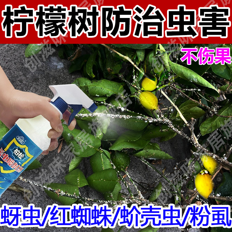 果树蔬菜白粉虱病虫害驱虫除虫药图片