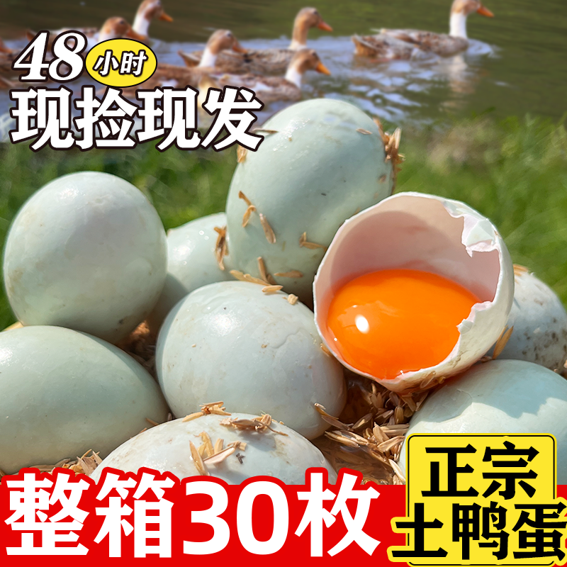 新鲜鸭蛋个头大农家散养现捡整箱