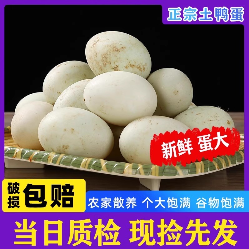 农家散养土鸭蛋新鲜个大湖区现捡