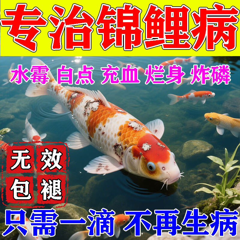 锦鲤鱼病专用药万疾能治疗烂身烂尾嘴水霉白点观赏鱼斗金鱼炸鳞b