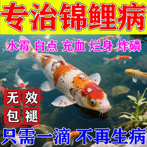 锦鲤鱼病专用药万疾能治疗烂身烂尾嘴水霉白点观赏鱼斗金鱼炸鳞b